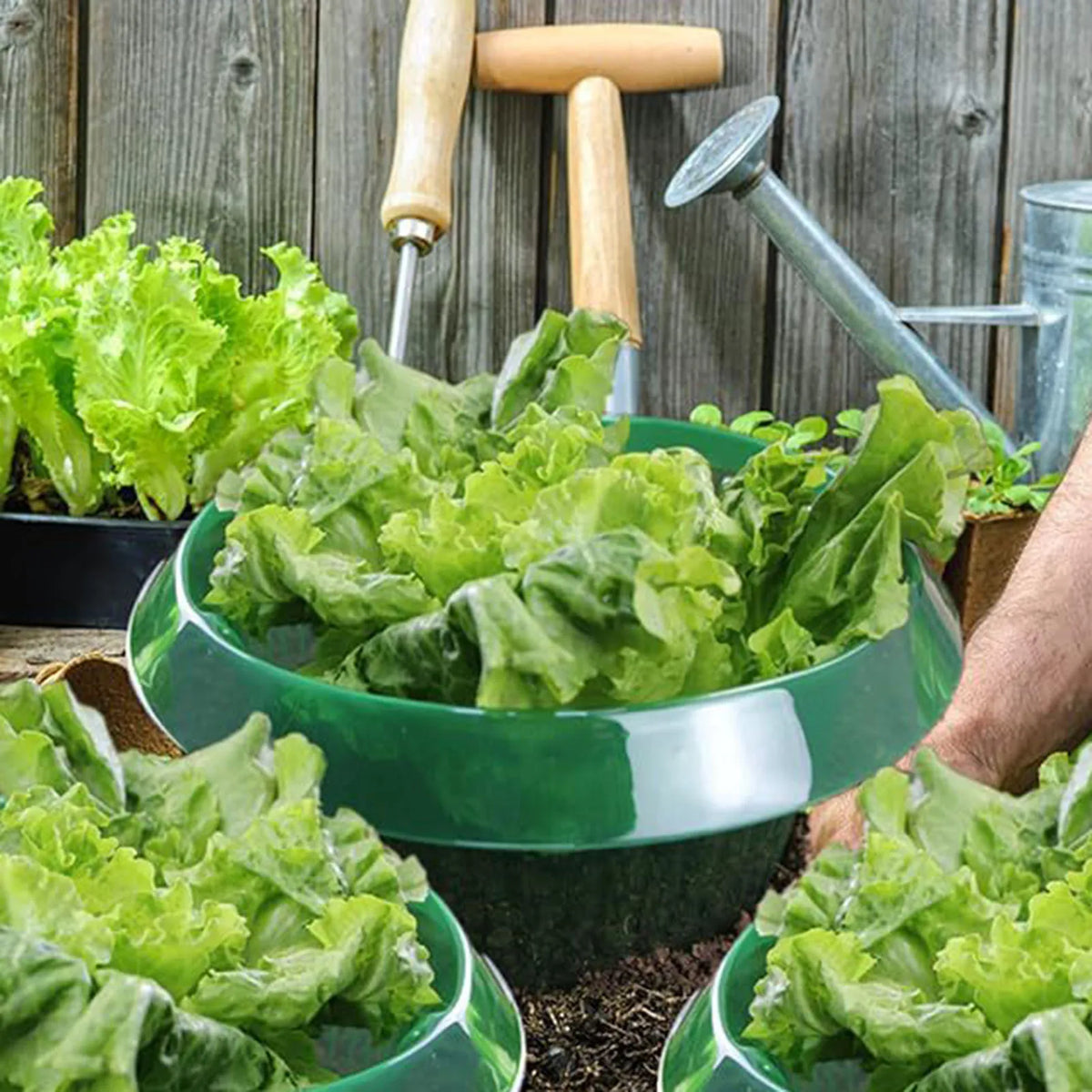 Plants Slug Protection Rings Vegetables Cover Plant Snail Collar Guard Green Planter Flower Pot Pest Control Trapper Garden Tool