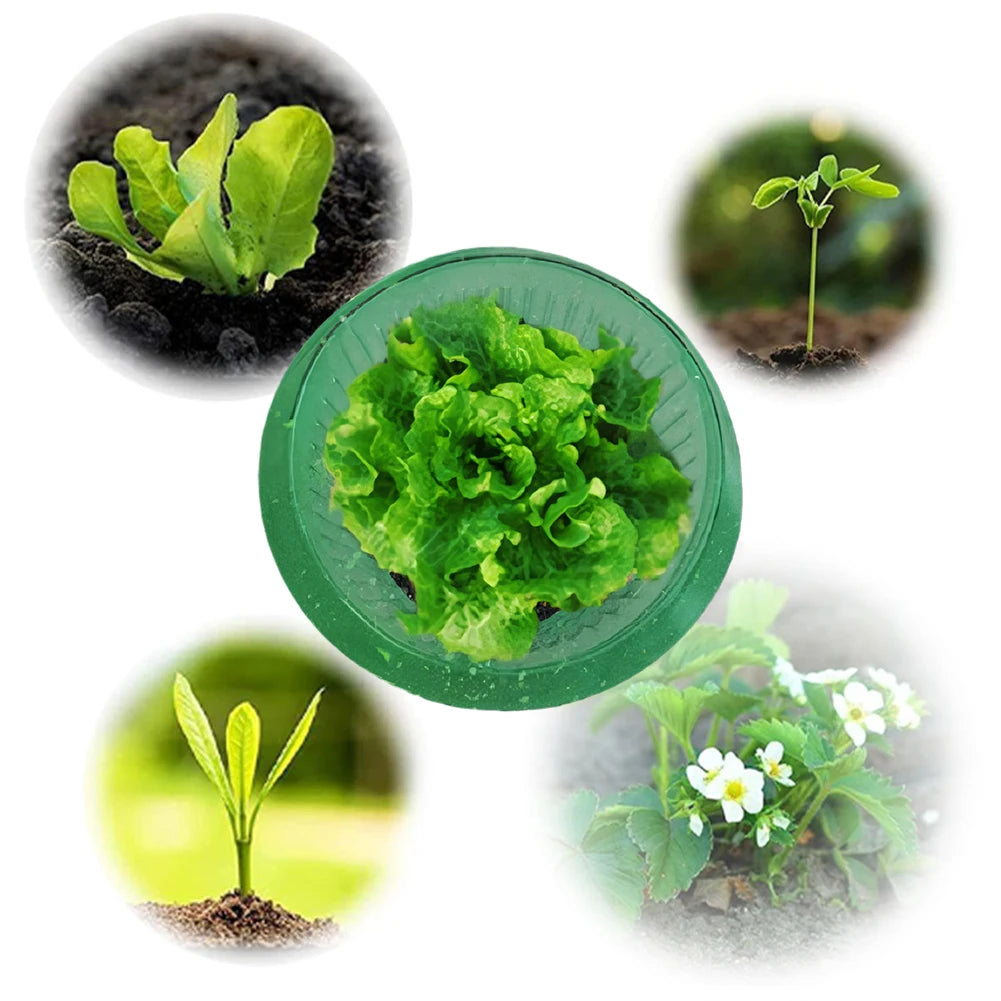 Plants Slug Protection Rings Vegetables Cover Plant Snail Collar Guard Green Planter Flower Pot Pest Control Trapper Garden Tool