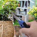 Fruit Picking Pruning Shears, Heavy-Duty Pruning Scissors, Garden Fruit Picking Shears, Specialized Grape Pruning Scissor