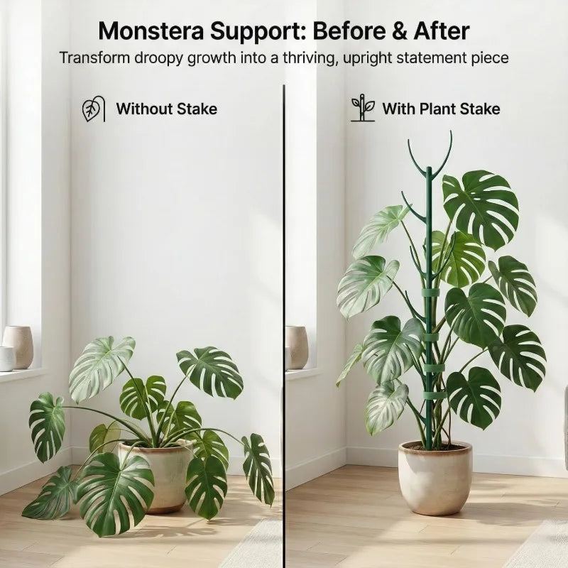 Climbing Plant Support Stakes, Trellis-Style Garden Supports