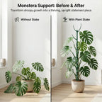 Climbing Plant Support Stakes, Trellis-Style Garden Supports