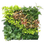 1PC Hanging Garden Plant Wall Flower Pot Container Wall Hanging Vertical Green wall-mounted Plastic Planting Box Home Decor