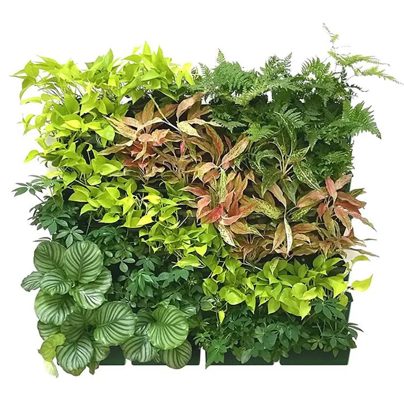 1PC Hanging Garden Plant Wall Flower Pot Container Wall Hanging Vertical Green wall-mounted Plastic Planting Box Home Decor