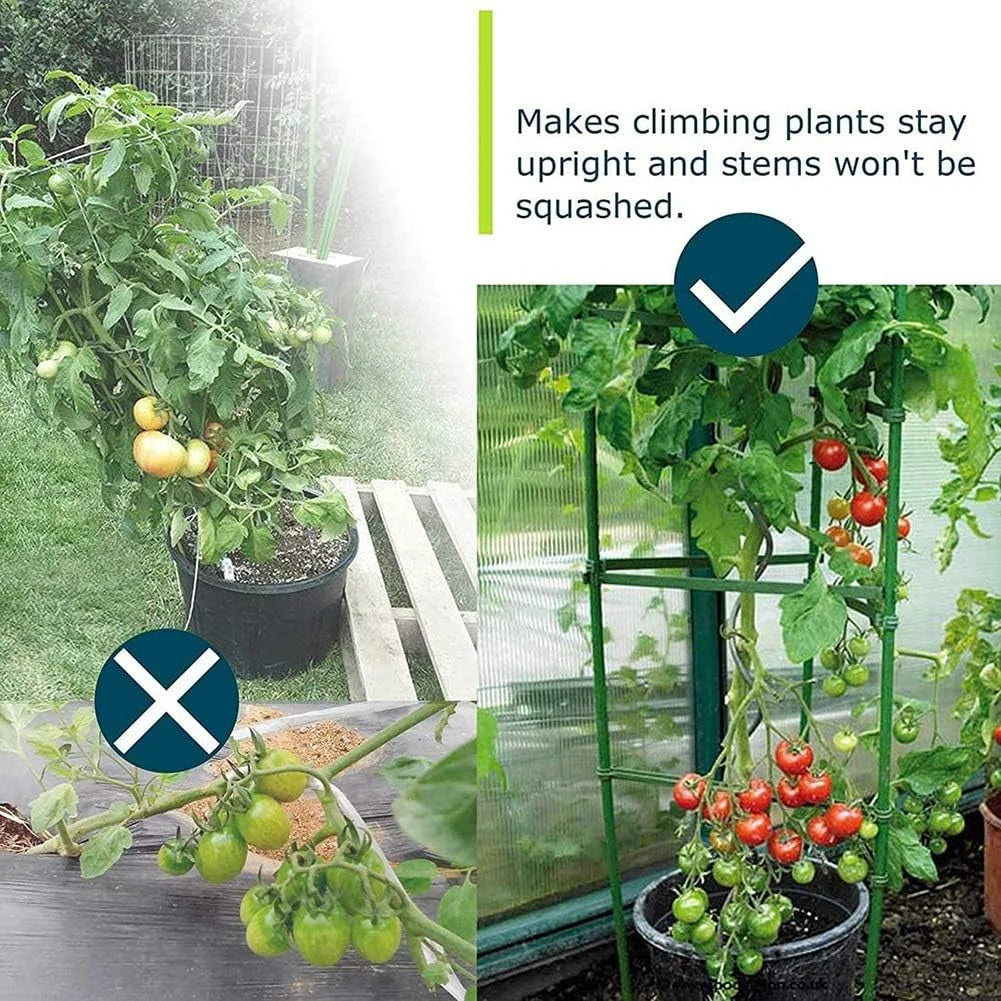 Metal Tomato Cage, Up to 129.5 cm (51 in)