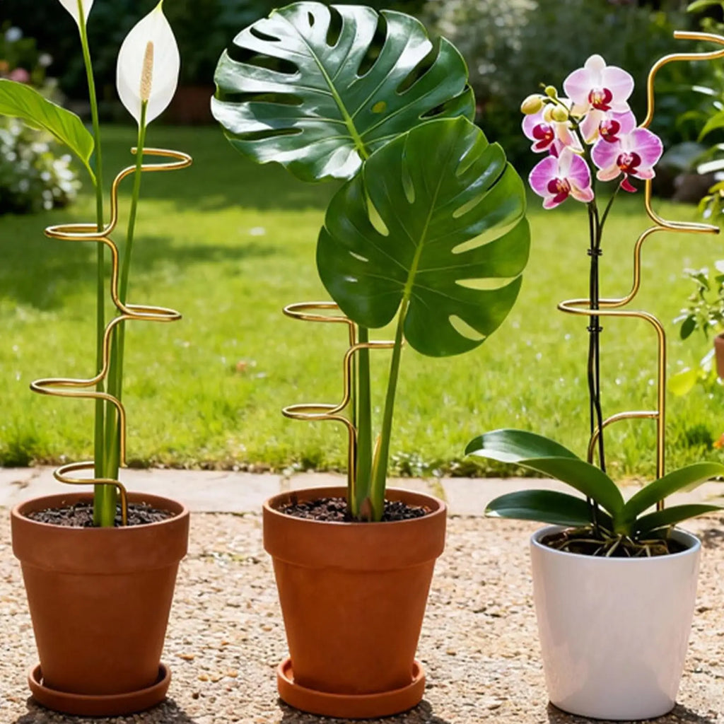 Metal Monstera Plant Support Stake, 32 cm (12.6 in)