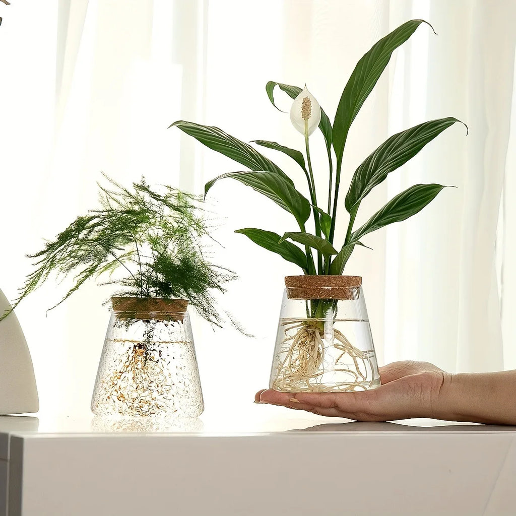 Propagation Station with Glass Vases - Tabletop Plant Rack for Hydroponic Cuttings, Home Office Decor