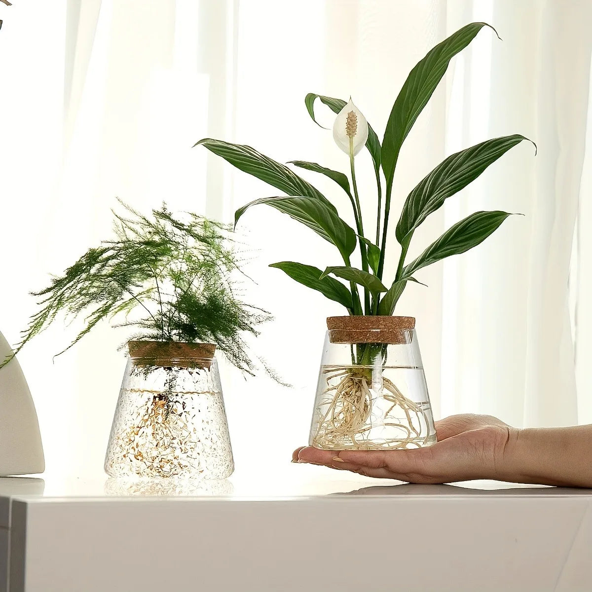 Propagation Station with Glass Vases - Tabletop Plant Rack for Hydroponic Cuttings, Home Office Decor