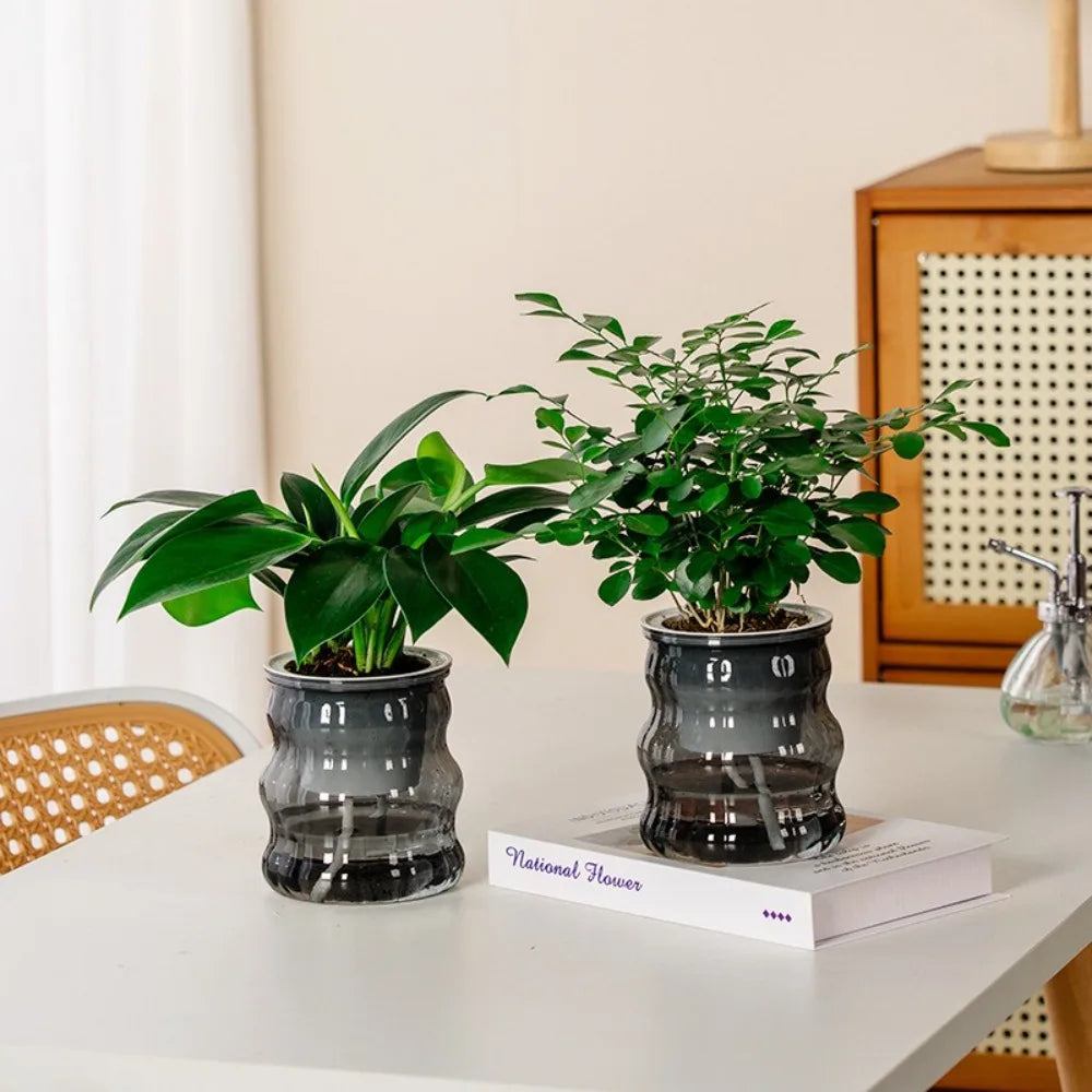 Creative Self Watering Hydroponic Plants Pot Removable Plastic Flowerpot Transparent Mini Succulent Planter Tabletop Vase