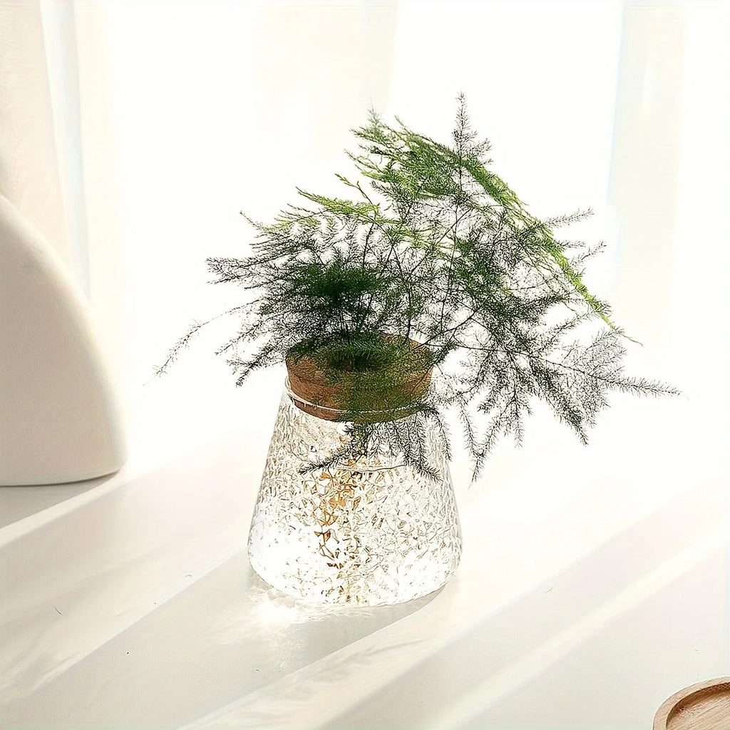 Propagation Station with Glass Vases - Tabletop Plant Rack for Hydroponic Cuttings, Home Office Decor