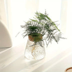 Propagation Station with Glass Vases - Tabletop Plant Rack for Hydroponic Cuttings, Home Office Decor