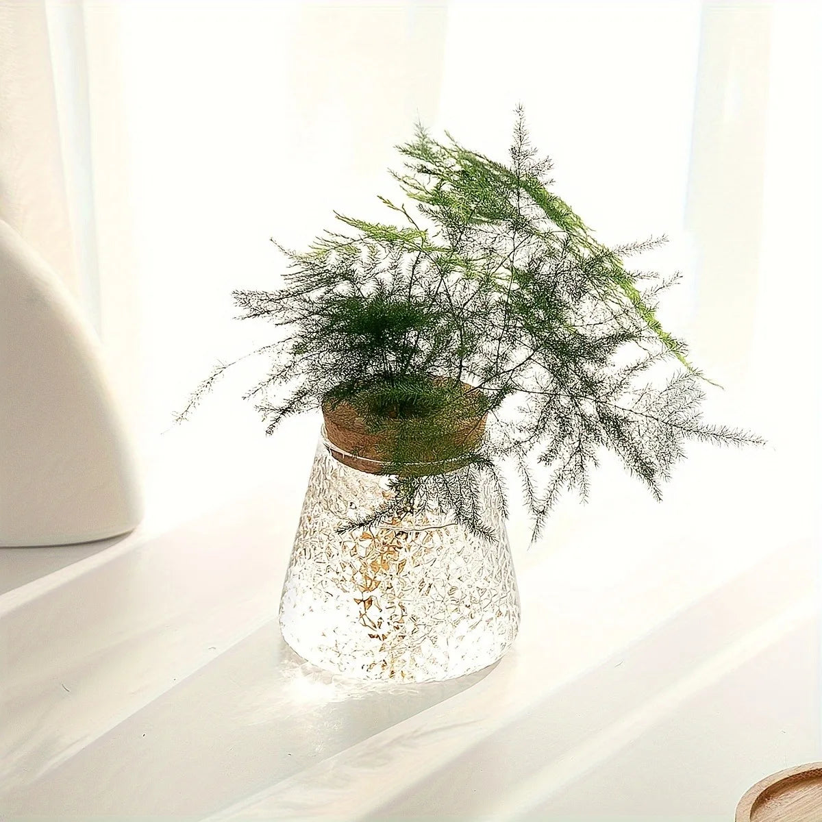 Propagation Station with Glass Vases - Tabletop Plant Rack for Hydroponic Cuttings, Home Office Decor