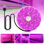 LED Grow Light Full Spectrum 5V USB Grow Light Strip 2835 LED Phyto Lamps For Plants Greenhouse Hydroponic Growing Lamp 1M 2M 3M