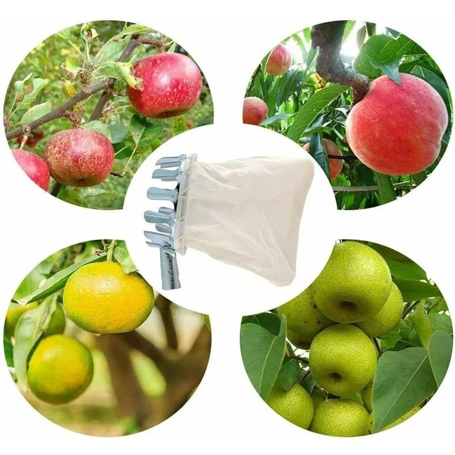 3-in-1 Fruit Harvesting Tool Set for Berry Picking with Telescopic Pole and Collection Bag Gardening Supplies