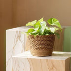 1Pcs Mini/S/M/L Grass Woven Flowerpot For Garden Terraces Small Plant Flower Basket Seedling Containers Planter Basket