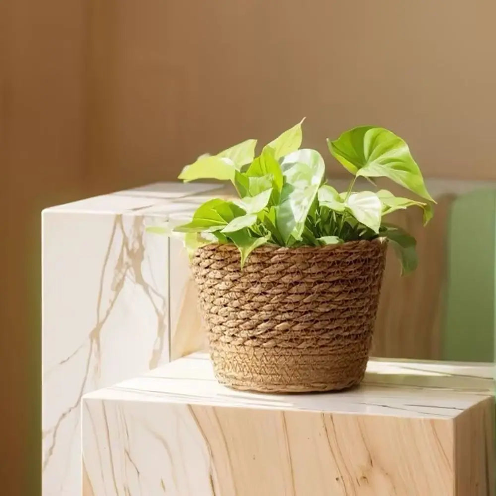 1Pcs Mini/S/M/L Grass Woven Flowerpot For Garden Terraces Small Plant Flower Basket Seedling Containers Planter Basket