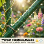 Climbing Plant Support Stakes, Trellis-Style Garden Supports