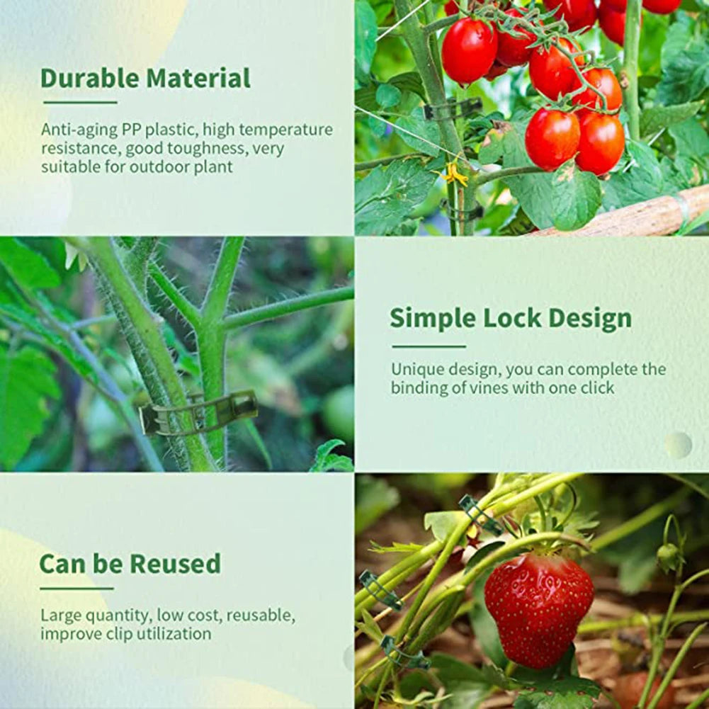 100 PCS Plant Support Clips Plastic Ties Trellis Stake Clips Garden Veggie Tomato Greenhouse Holder For Garden Tools Accessories
