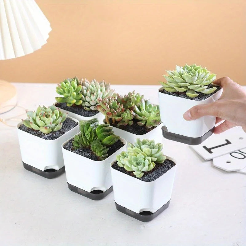 5Pcs Plant Pots, Self Watering Flower Pots Indoor Outdoor, Self Watering Planters with Drainage Hole & Clear Saucer Reservoir