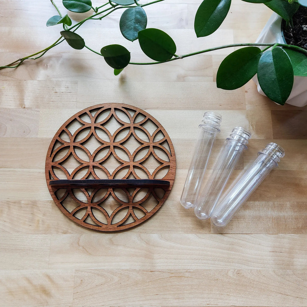 Plant Propagation Station Wall Hanging Wooden Moon Phase Plant Terrarium for Hydroponics Home Office Decor Air Plant Holder Gift