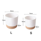 Round Cactus Succulent Plants Garden Supply Self Watering Flower Pot With Drainage Hole Flower Containers Indoor Orchid Pots