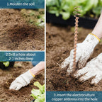 Electroculture Plant Stakes, Copper Garden Antennas