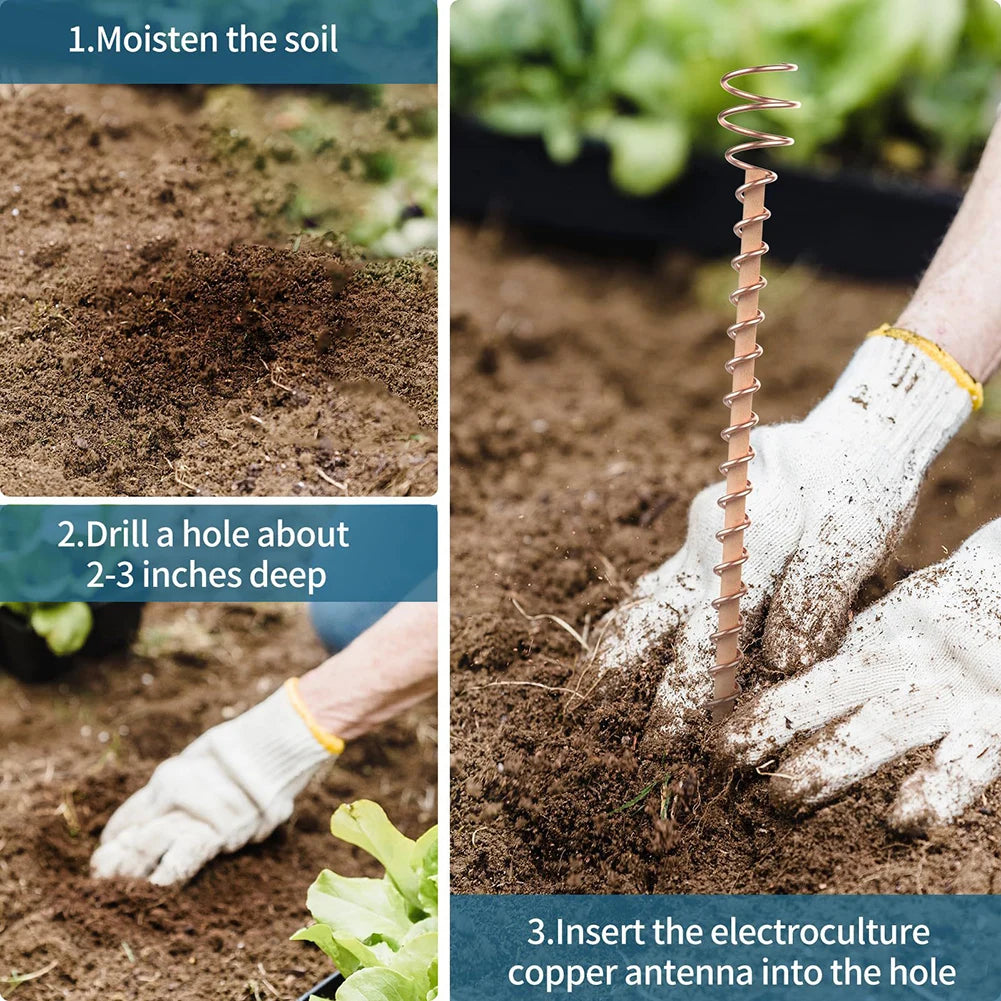 Electroculture Plant Stakes, Copper Garden Antennas