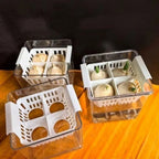 4 Grids Hydroponics Nursery Pots Planter Containers Clear Tulip Bulb Planter Plastic Square Planting Basket Indoor Gardening