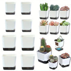 5Pcs Plant Pots, Self Watering Flower Pots Indoor Outdoor, Self Watering Planters with Drainage Hole & Clear Saucer Reservoir