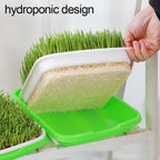 Soilless Planting Seedling Tray,Seed Sprouter Germination Tray for Growing, Bean Sprouts, Cat Grass, Wheat Grass, Mung Beans