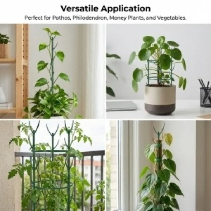 Climbing Plant Support Stakes, Trellis-Style Garden Supports