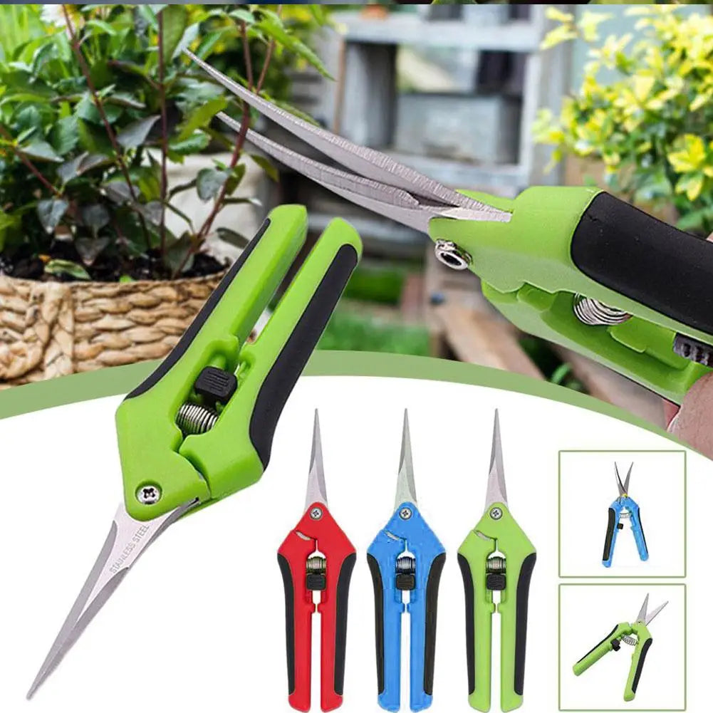 Fruit Picking Pruning Shears, Heavy-Duty Pruning Scissors, Garden Fruit Picking Shears, Specialized Grape Pruning Scissor