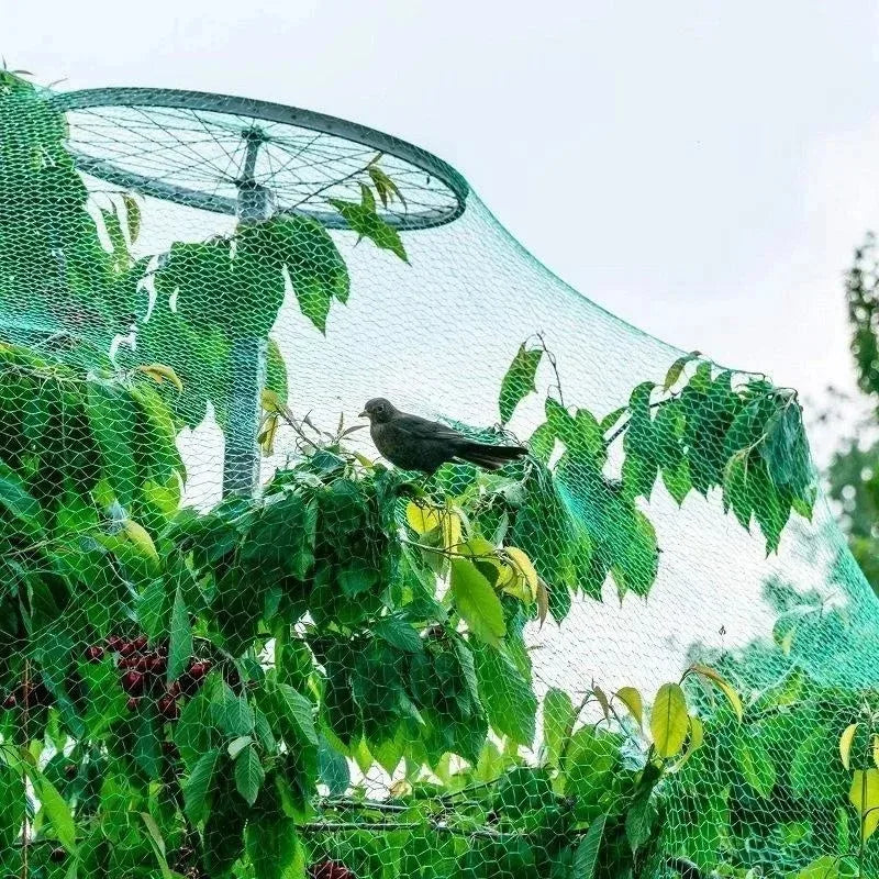 5/10M Garden Protect Netting Anti Birds Net Animals Deer Fencing Mesh for Fruits Trees Plants Stretch Durable Pest Barrier 그물망
