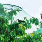 5/10M Garden Protect Netting Anti Birds Net Animals Deer Fencing Mesh for Fruits Trees Plants Stretch Durable Pest Barrier 그물망
