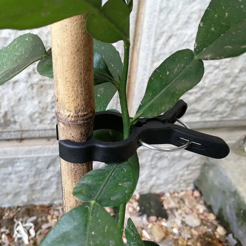 10/30/50Pcs Plant Stem Branch Gardening Clip Ties Support Plastic Clips for Climbing Plants Fixing Clamps Plant Support
