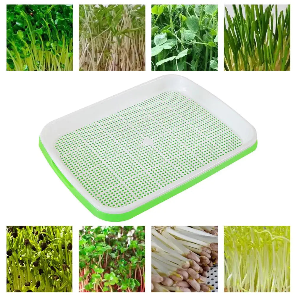 Hydroponic Microgreens Sprouter Tray Seed Sprouting Plates Wheatgrass Grower Nursery Trays for Home Garden Soilless System