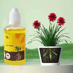 50ml Plant Rooting Stimulator Liquid Plant Root Booster Liquid Rapid Rooting Agent Liquid Fertilizer Strong Rooting Stimulator
