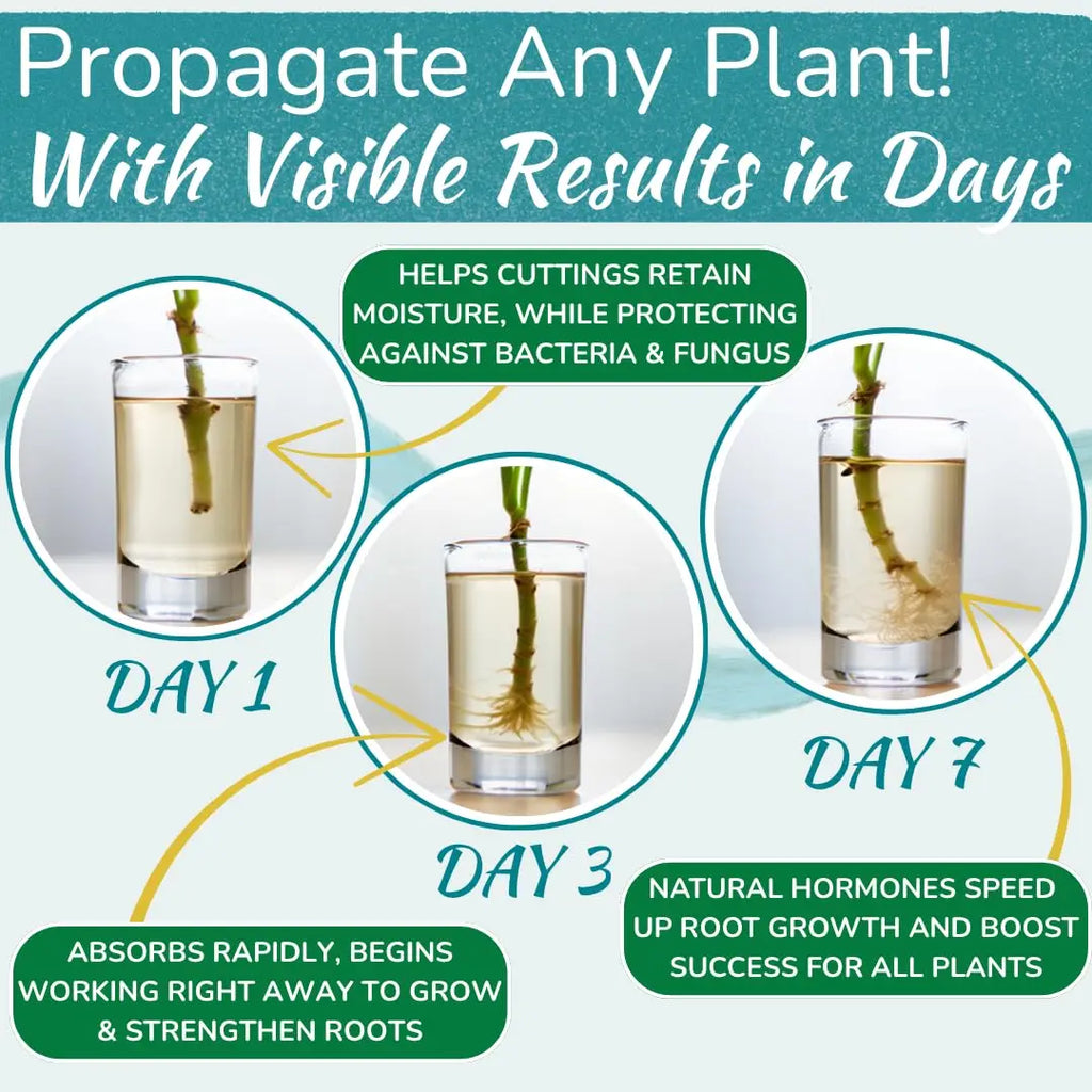 Rapid Plant Rooting Liquid Hormone Fast Propagation Solution Promote Strong Root Growth Fertilizer for Indoor Houseplants Care