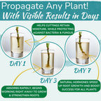 Rapid Plant Rooting Liquid Hormone Fast Propagation Solution Promote Strong Root Growth Fertilizer for Indoor Houseplants Care