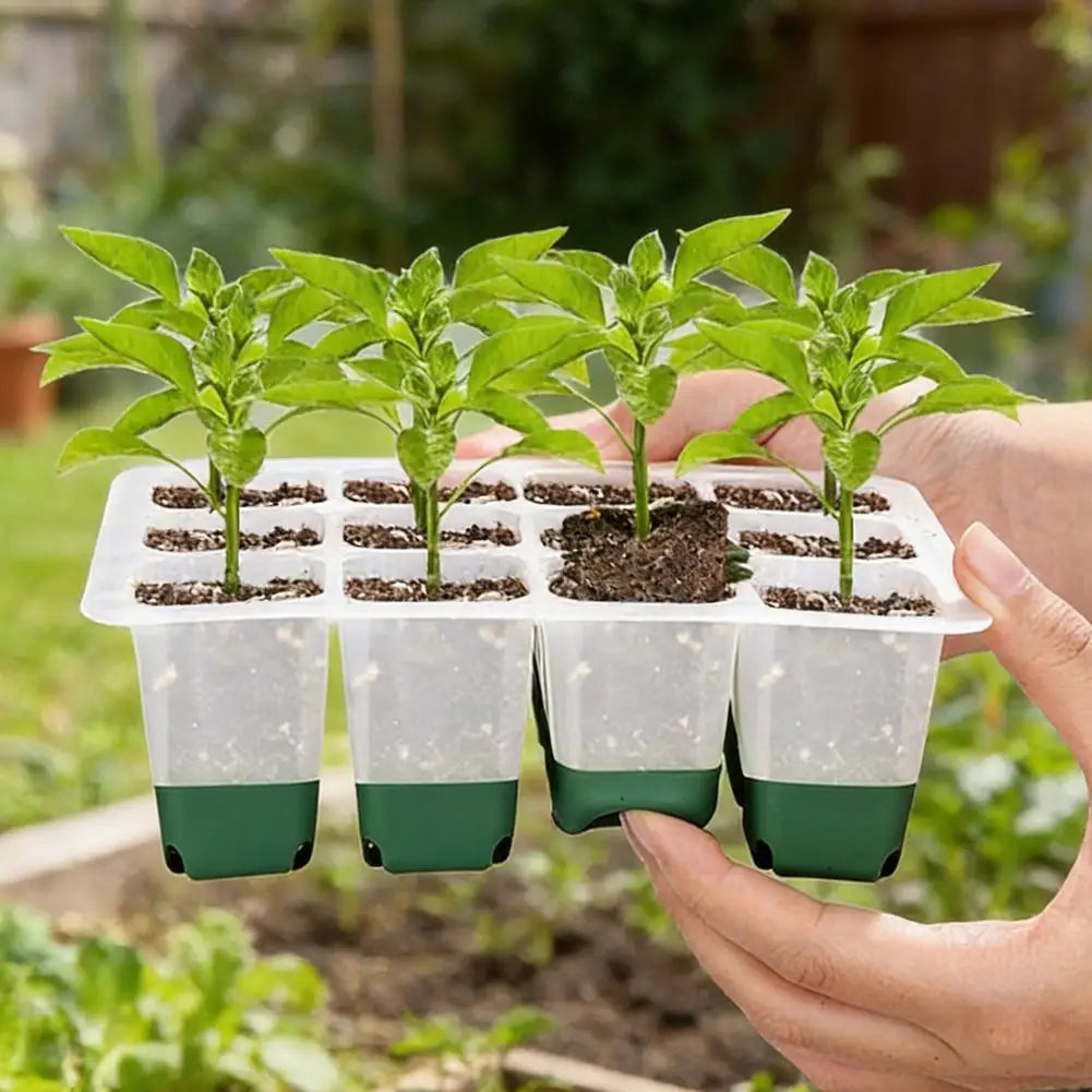 Reusable Seed Starter Trays Kit Silicone Seedling Trays For Plant Seeds Germination Tray Indoor Gardening Seedling Starter Pot