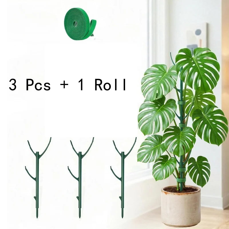 Climbing Plant Support Stakes, Trellis-Style Garden Supports