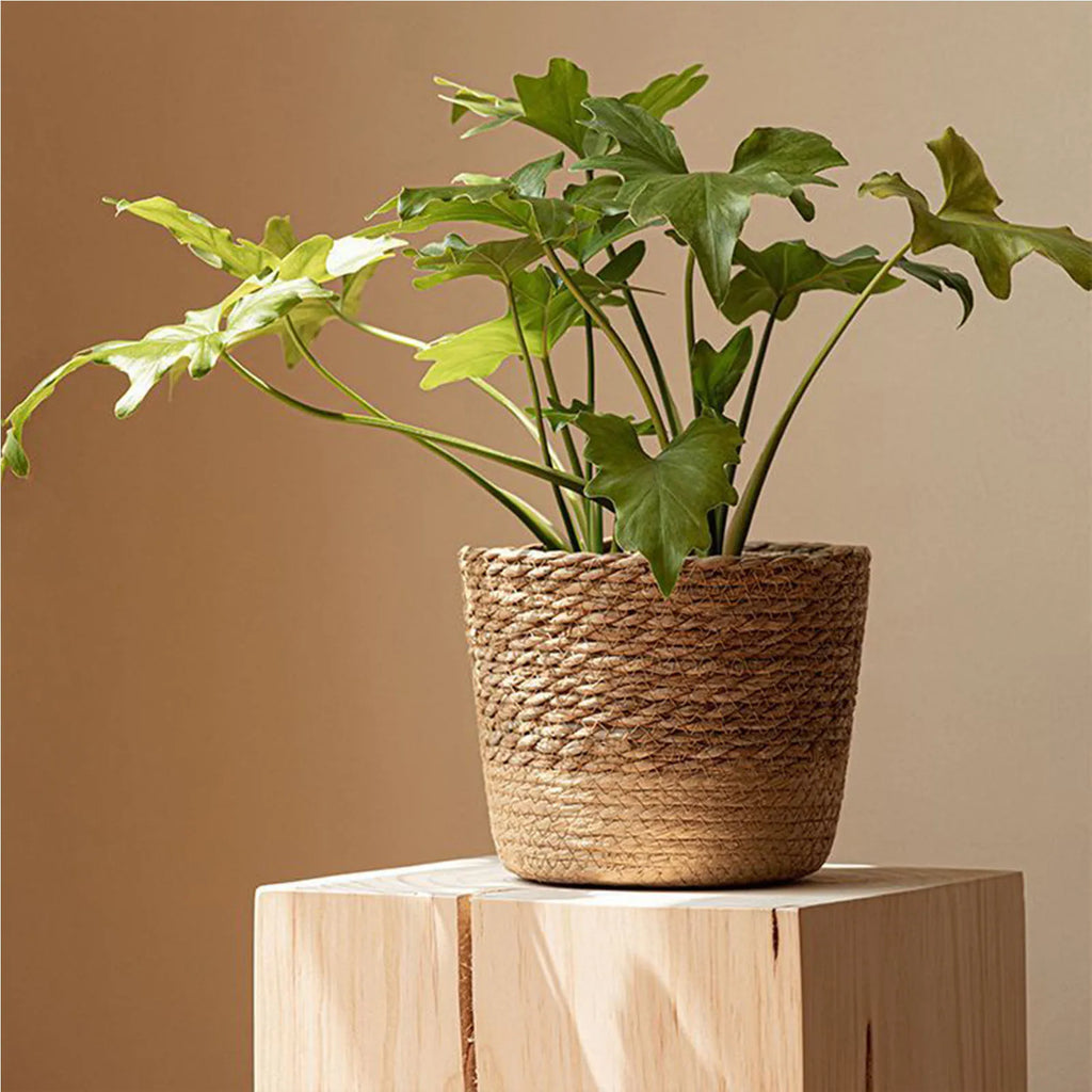Natural Woven Flower Basket Straw Wicker Planter Storage Baskets Large Capacity Pots for Family Friend Neighbor Gift