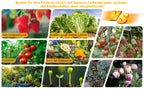 LED Grow Light 500W 600W 800W 1000W Diode Full Spectrum Silent Quantum Board Used for Greenhouse Tent Hydroponic Plant