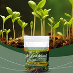 100g Plant Fertilizer Powder Plant Growth Nutrient Fertilizer Safe and Effective Rooting Supplement for Soil Culture Hydroponics