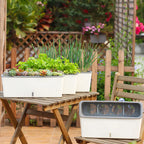Self-Watering Planter Pots with Handy Water Level Indicator Gift for Friends Families Neighbors