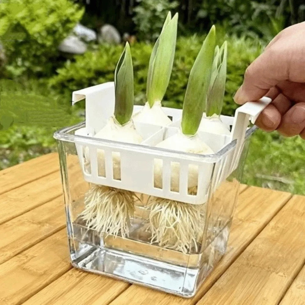 4 Grids Hydroponics Nursery Pots Planter Containers Clear Tulip Bulb Planter Plastic Square Planting Basket Indoor Gardening