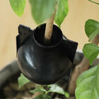 12pcs Plant Root Growing Box Propagation Reusable Rooting Grafting Breeding Seedling Garden Plant Rooting Ball Garden Supplies