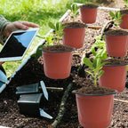 100/20x Seeding Nursery Pot Black Red Plants Nursery Pots Seedling Cups Grow Box Planters Home Garden Potted Container Wholesale