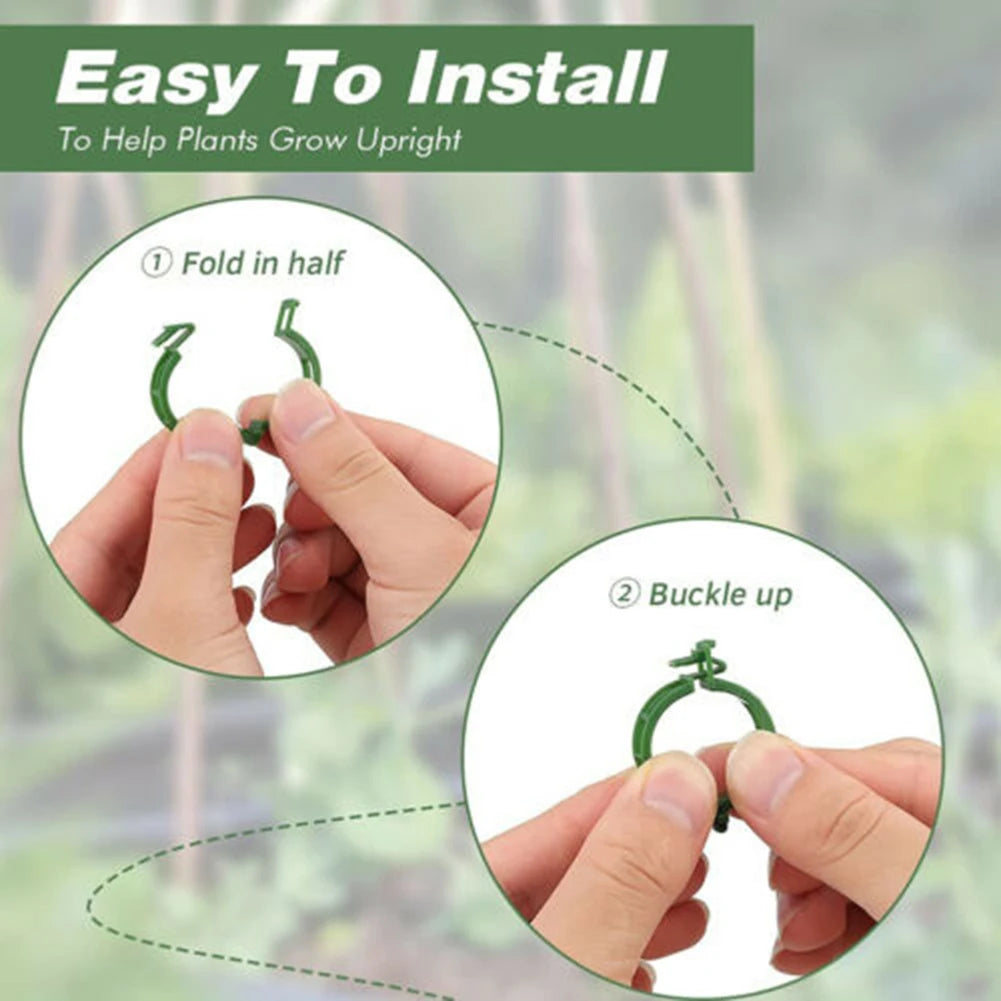 100 PCS Plant Support Clips Plastic Ties Trellis Stake Clips Garden Veggie Tomato Greenhouse Holder For Garden Tools Accessories