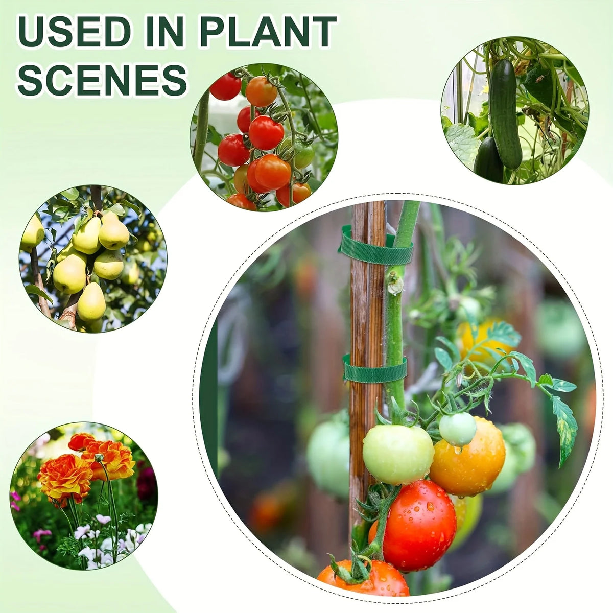 50/100pcs Reusable Adjustable Non-Slip Nylon Plant Ties with Hook and Loop Fasteners, Ideal for Gardening Applications