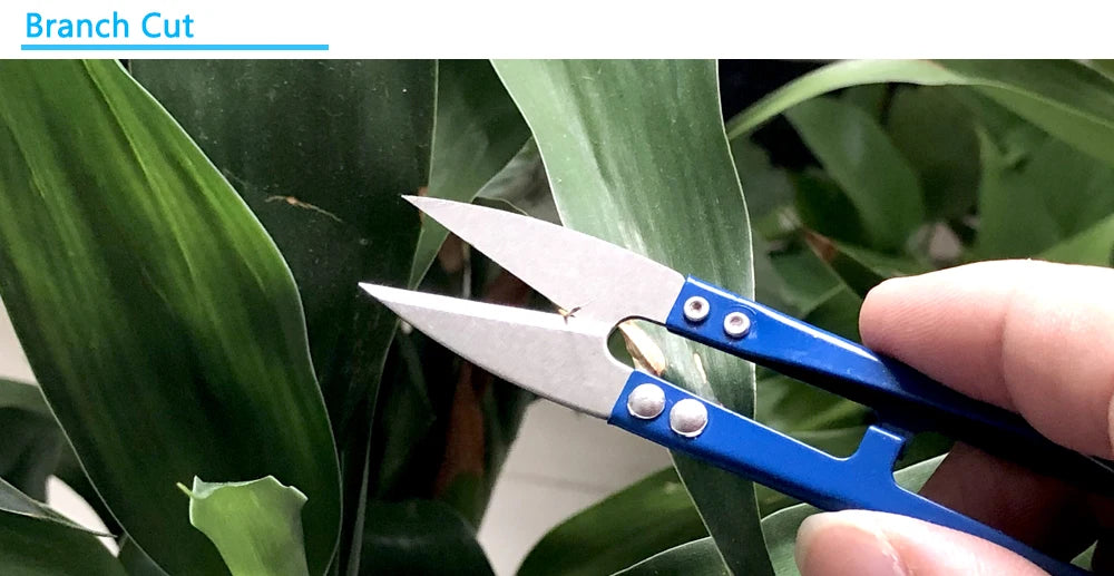 3Pcs Pruning Shears Mini Sharp Scissors Gardening Plant Scissor Branch Pruner Trimmer Tool Sewing Clothes Thread Cutting Cutters